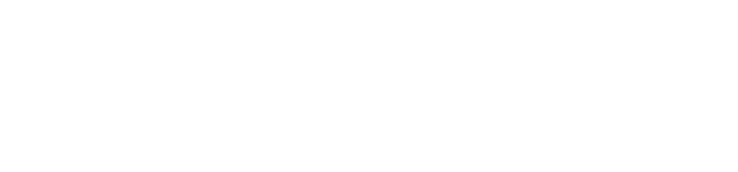 FunCar logo white